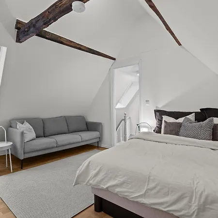 Apartamento Large Historic In The Part Of