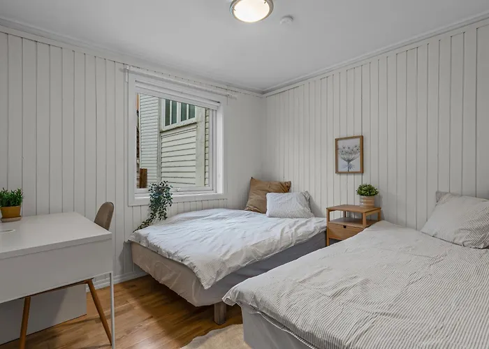 Apartman Large Historic In The Part Of *