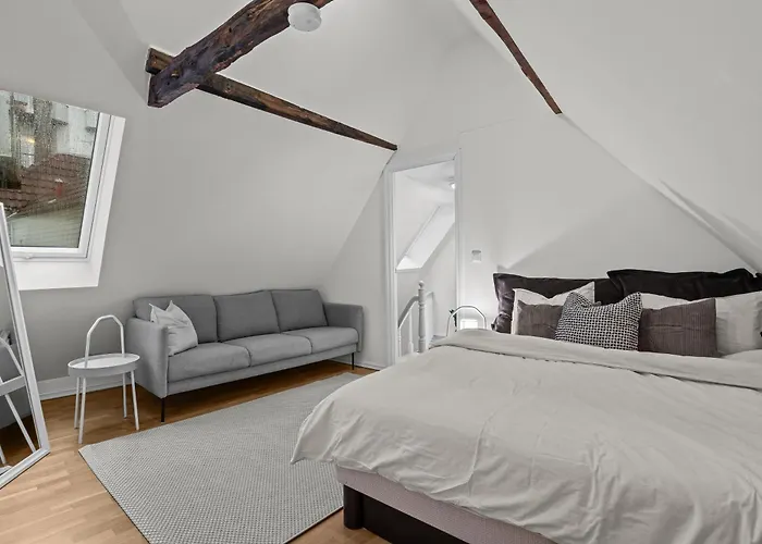 Apartman Large Historic In The Part Of