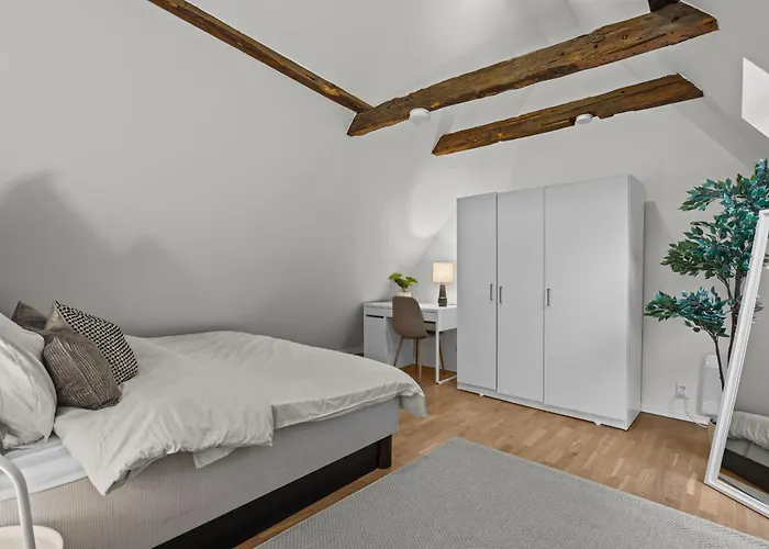 Apartman Large Historic In The Part Of