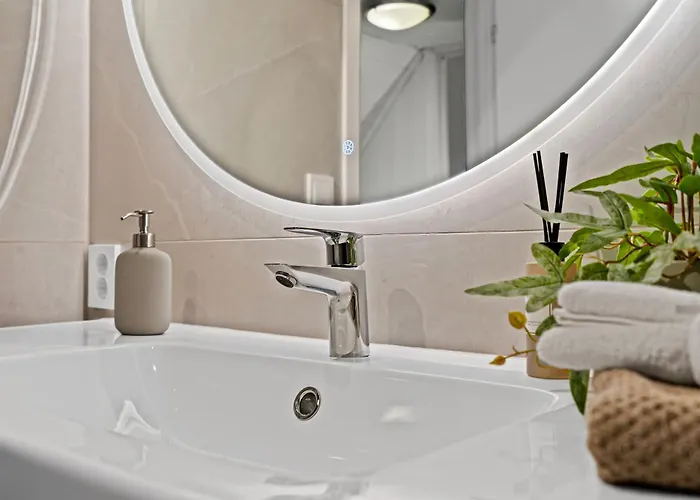 Large Historic In The Part Of Apartman *