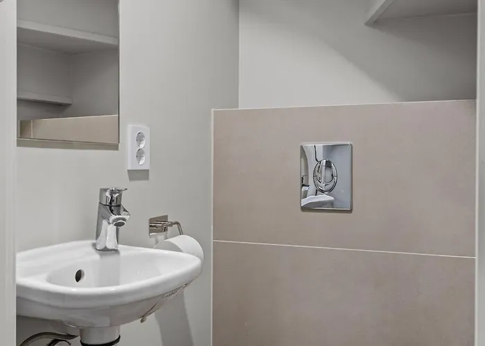 Large Historic In The Part Of Apartman *